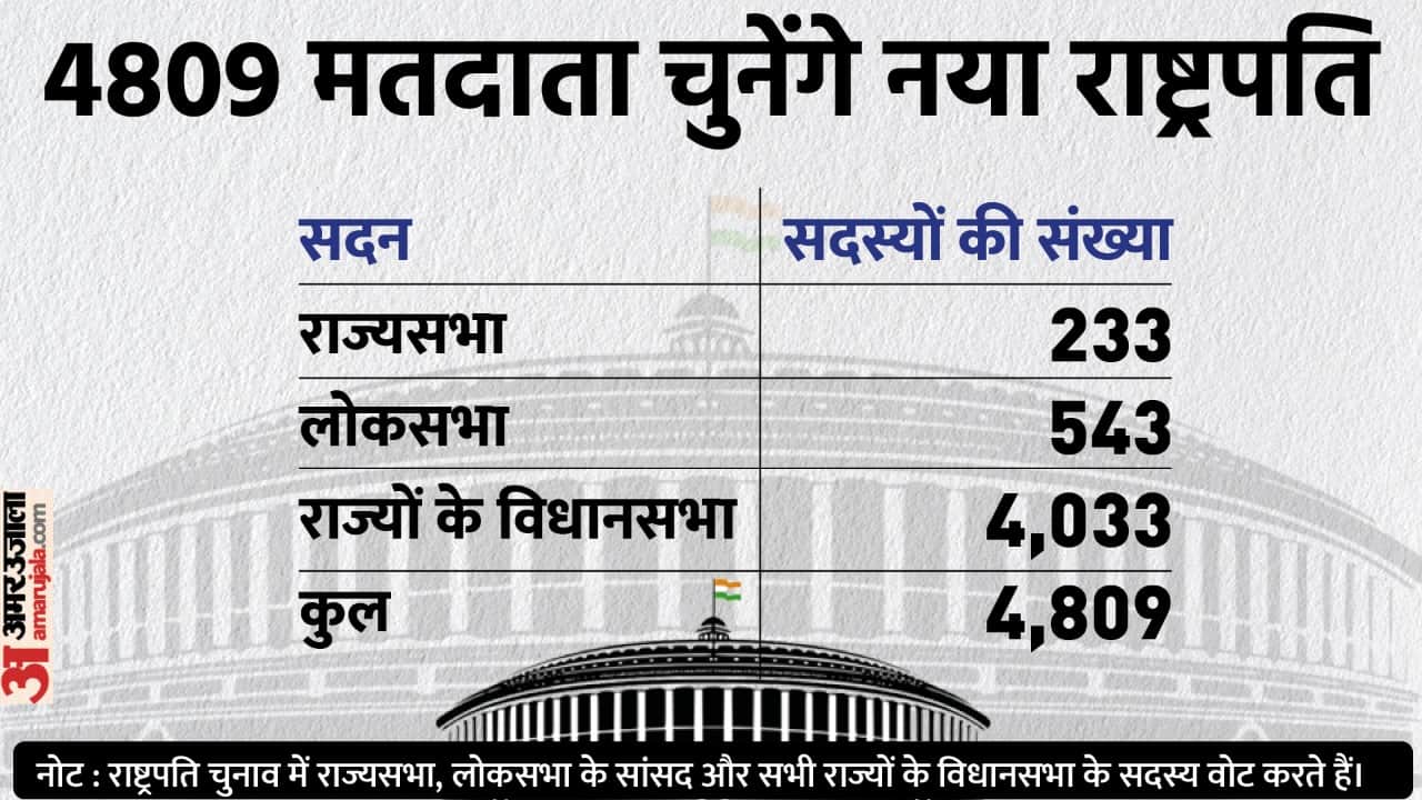 President Election 2022 voting know the procedure who will vote rules Droupadi Murmu Yashwant Sinha MLAs MPs news in hindi