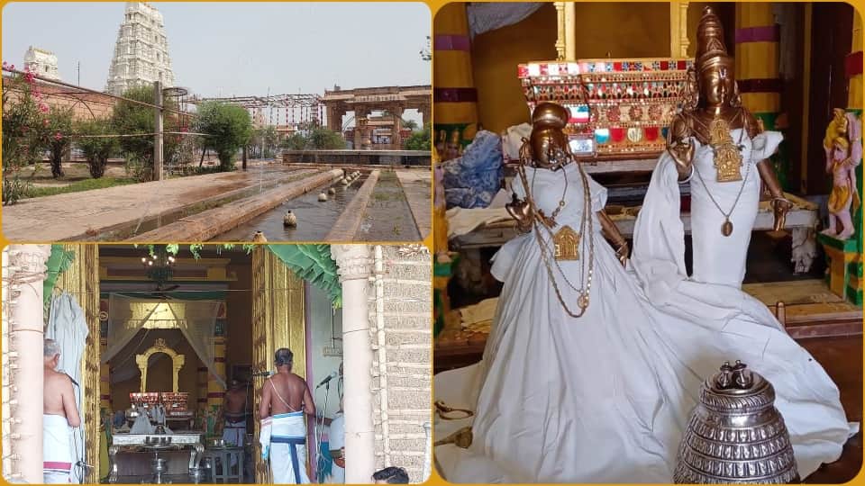 basantotsava festival celebration in Rangji temple of Vrindavan