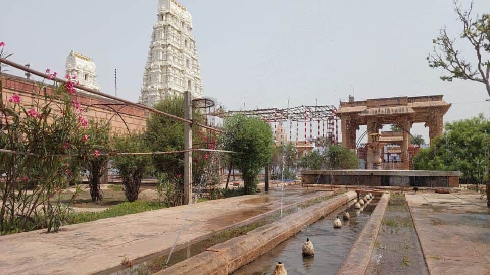 basantotsava festival celebration in Rangji temple of Vrindavan