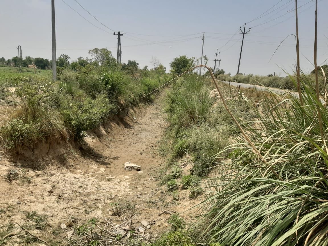Dry phaphoond and Kothipur Rajbha