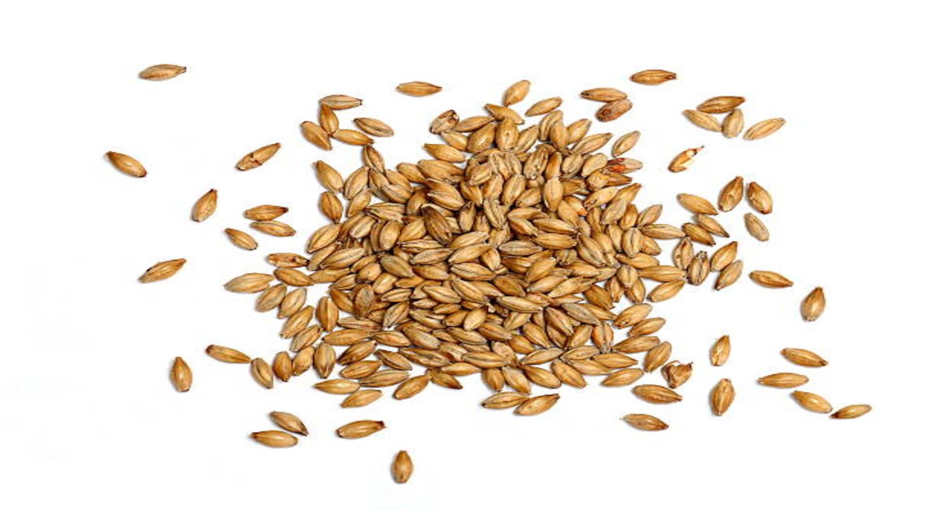 Jau Ke Upay Barley Remedies For Wealth in Hindi Jau Ke Totke