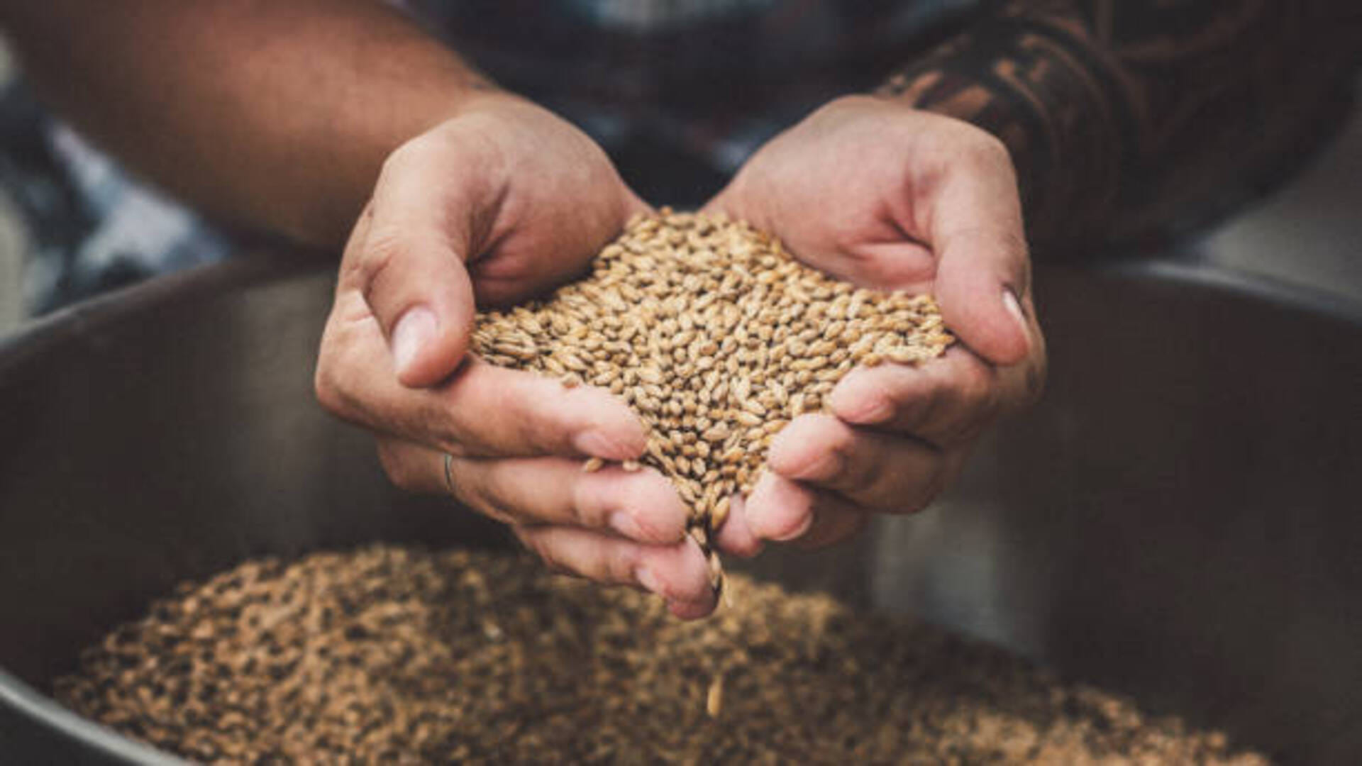 Jau Ke Upay Barley Remedies For Wealth in Hindi Jau Ke Totke