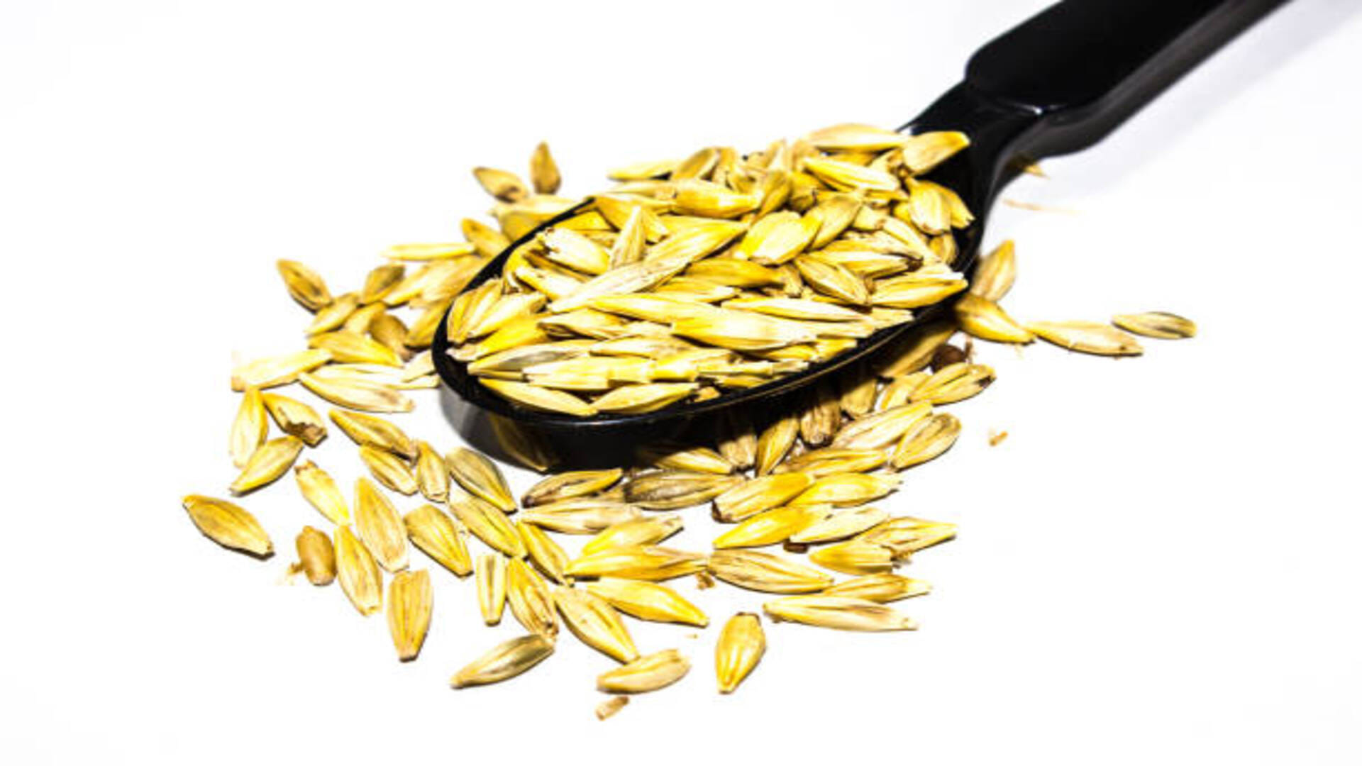 Jau Ke Upay Barley Remedies For Wealth in Hindi Jau Ke Totke