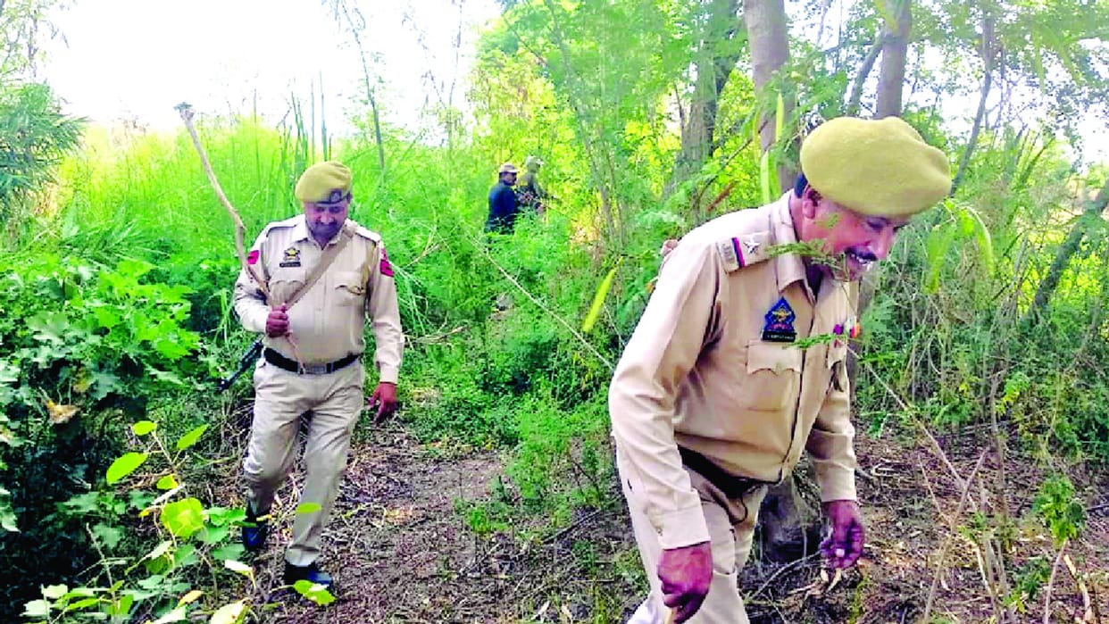 jammu kashmir: Pakistani drone entered Arnia, fired by BSF