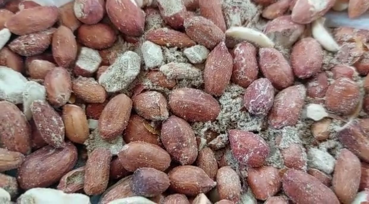 Peanuts distributed to children in Anganwadi center, three children fall ill after eating them