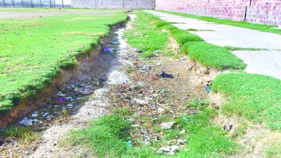 plantation campaign target of planting 51 lakh trees in Agra