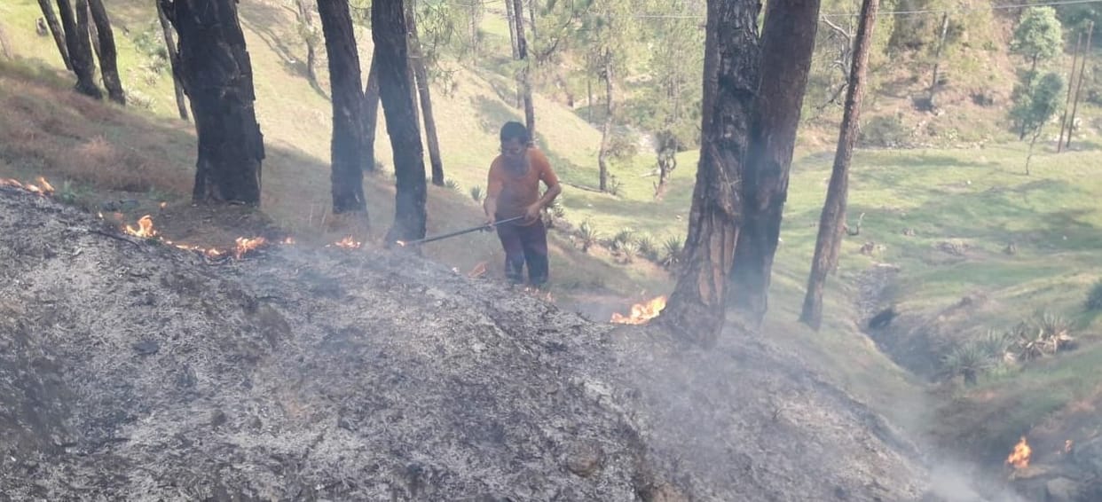 Forest fire at Bagehwar