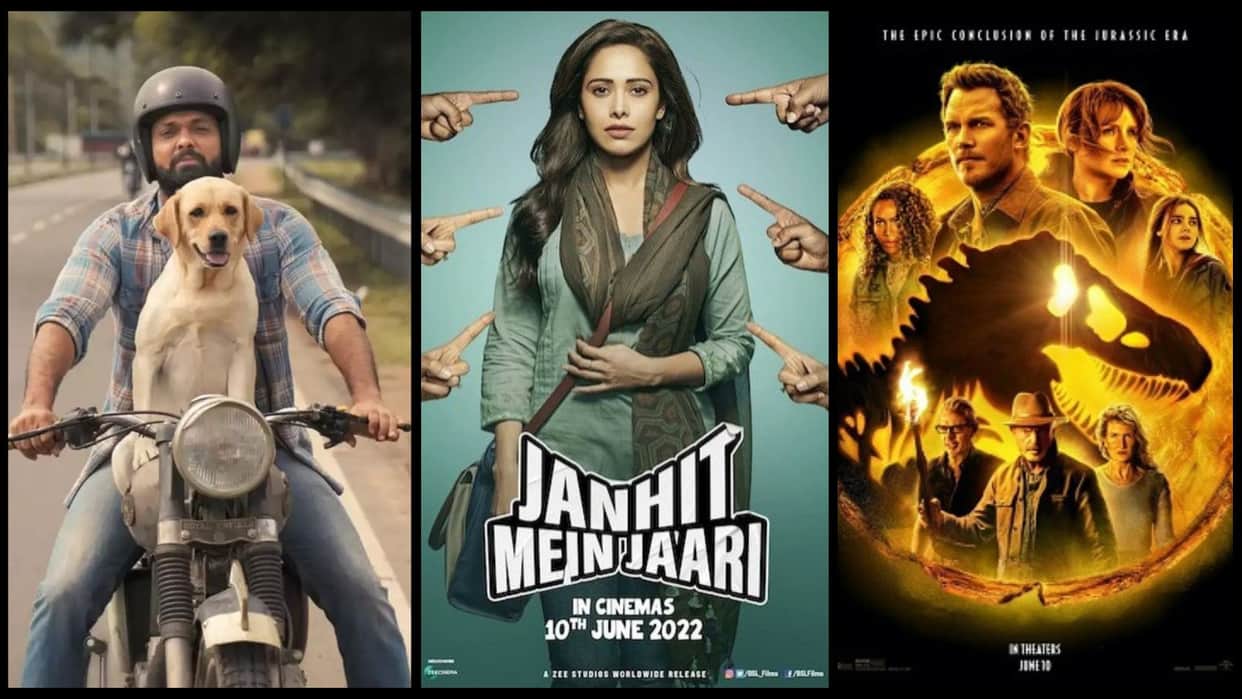 Janhit Mein Jaari Day 1 Box Office Collection 777 Charlie Samrat Prithviraj Day 8 Vikram Day 8 Bhool Bhulaiyaa Day 15