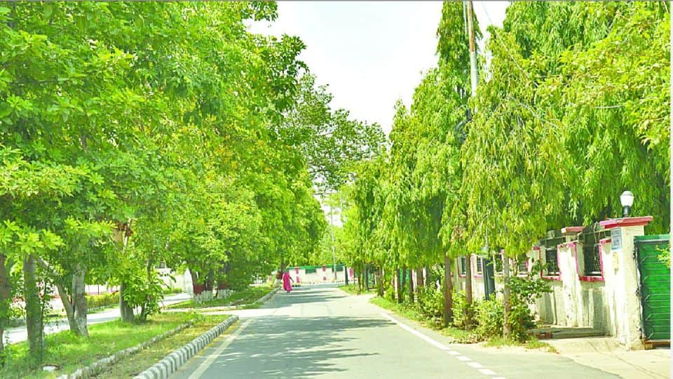 Railway did environmental protection work at Agra Cantt station