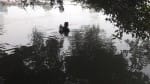 The young man who came to Dadupur Head to hang out with friends drowned in the canal while taking a bath