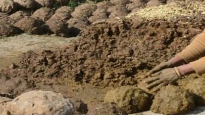 गोबर खाद खरीद: हिमाचल के चार जिलों से 1100 पशुपालकों की सूची तैयार, सर्वे के बाद होगी छंटनी Cow dung manure purchase: List of 1100 cattle herders from four districts ready, layoff will be done after sur
