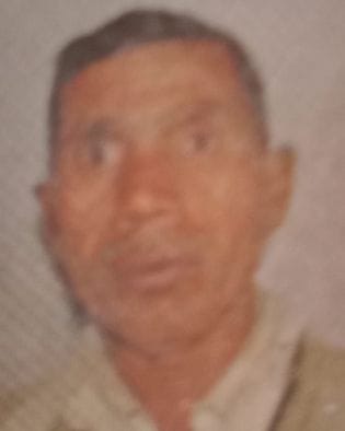 Cyclist vegetable vendor dies due to truck collision