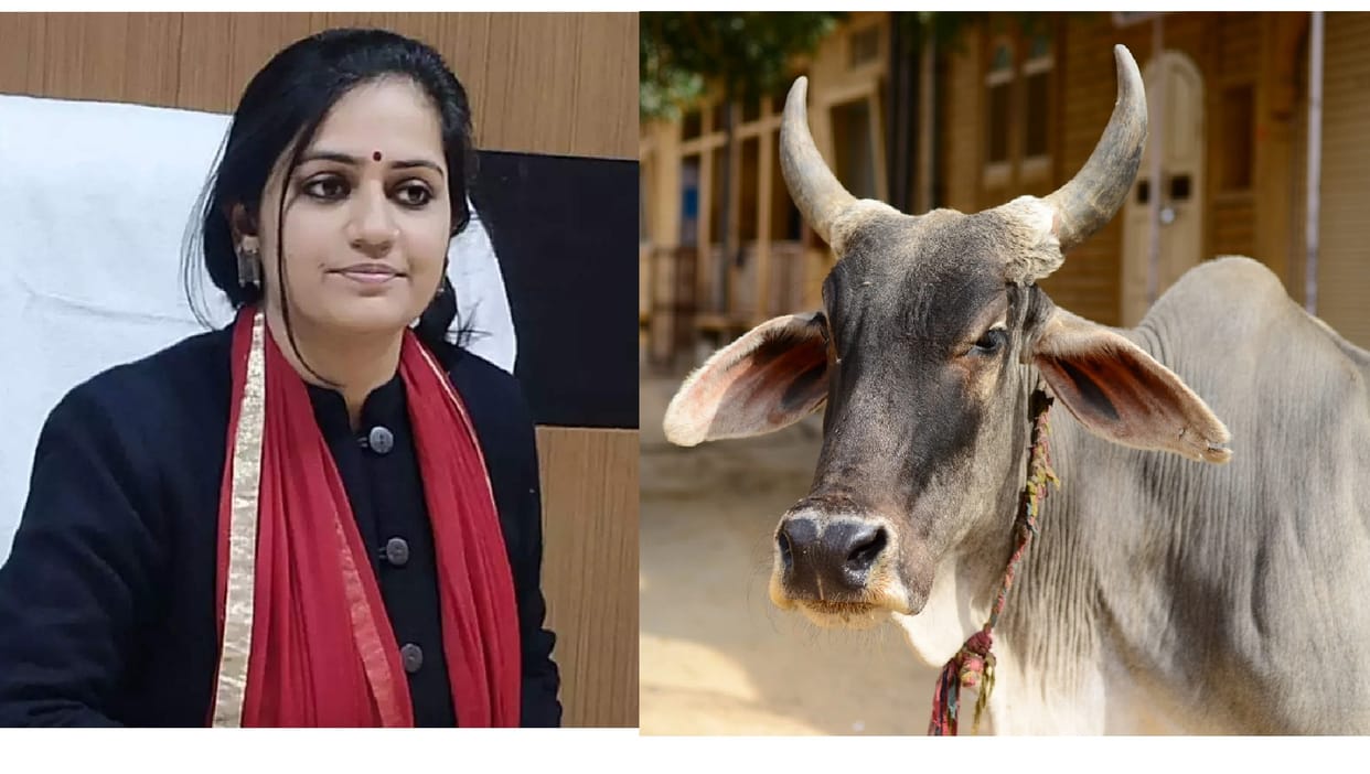 a team of seven doctors was set up to look after DM's sick cow Fatehpur, order went viral