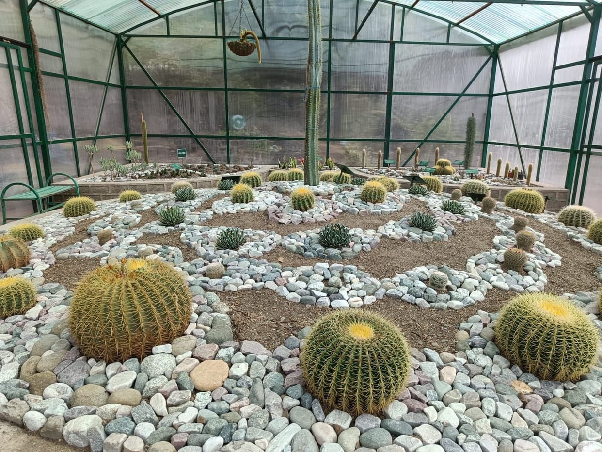Expansion of more than 50 species of succulents and cactus in Himalayan Botanical Garden