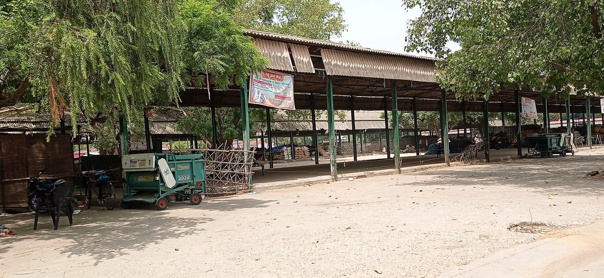 Arhtiyas bought wheat, government warehouse empty