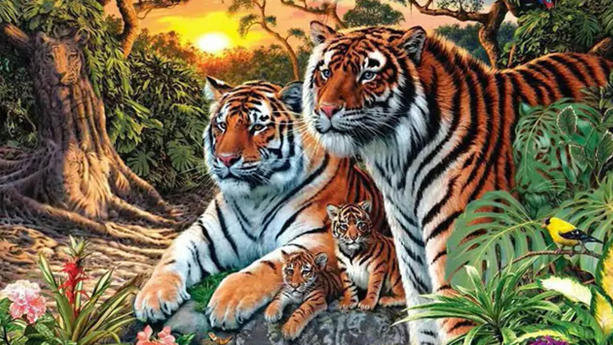 optical illusion 16 tigers are hidden in this photo did you see