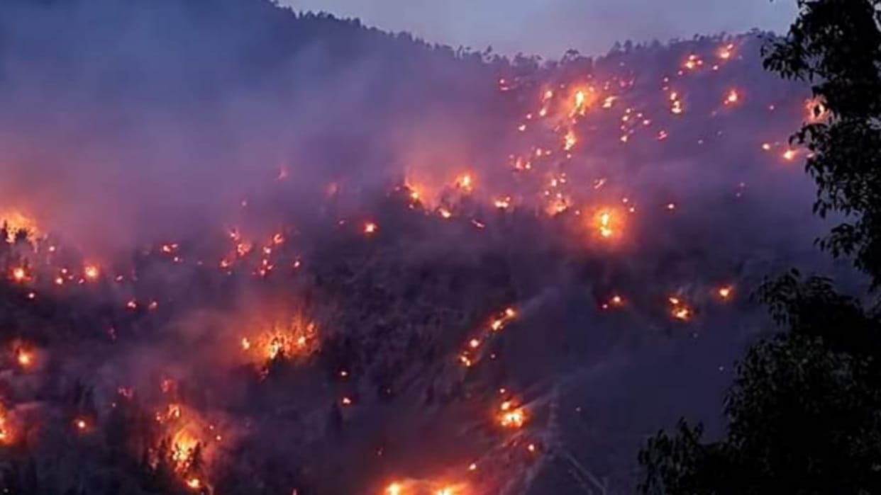 massive forest fire near Jangi village Kinnaur Himachal Pradesh
