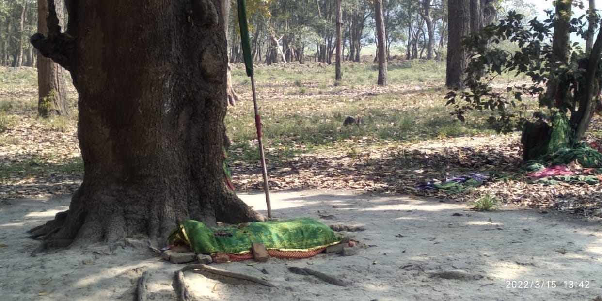 Order by edge, the shrine being prepared on the forest land