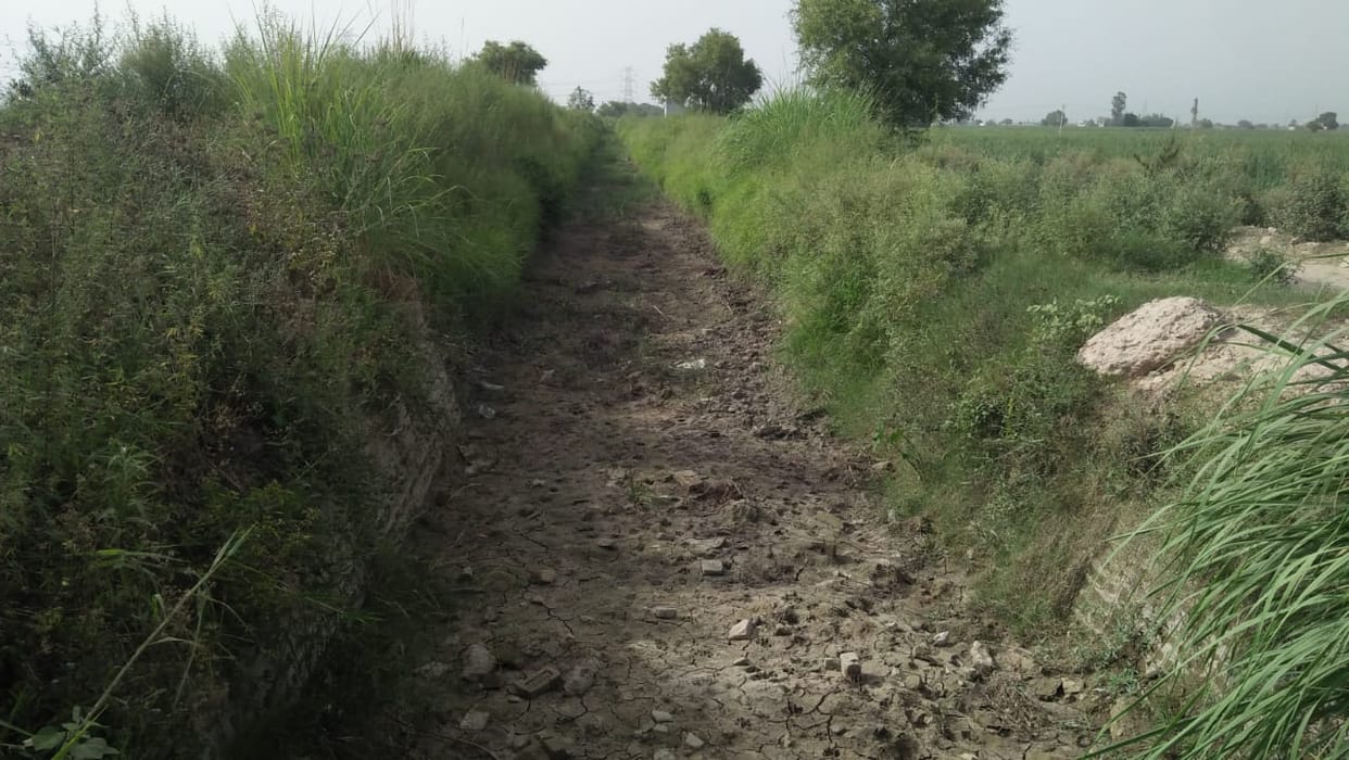 25 thousand farmers are in trouble due to drying of Rajbhe