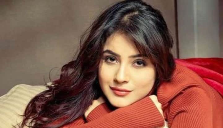 Shehnaaz gill photo leaked from kabhi eid kabhi diwali film set, actress was seen with child artist riddhi sharma