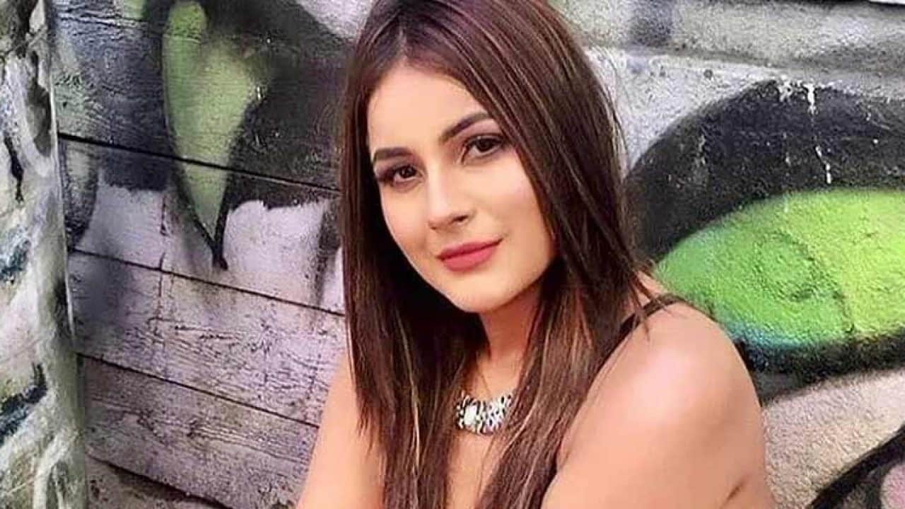 brahma kumar shivani will be seeing in shehnaaz gill chat show desi vibes actress shared photo on social media