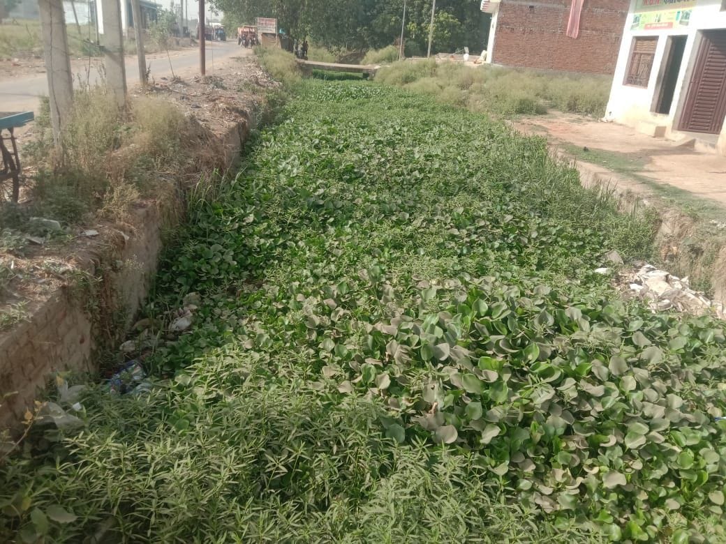 Lakhs spent on silt cleaning, yet the canals were not cleaned