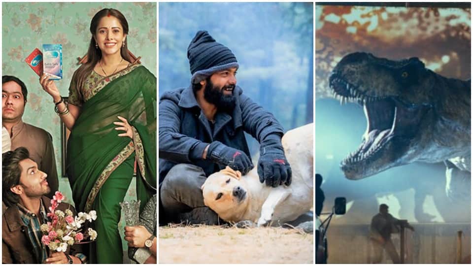 Tuesday box office collection day 5 jurassic world dominion 777 charlie janhit mein jaari vikram bhool bhulaiyaa 2 major