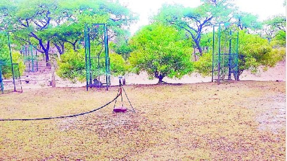 Forest Department has installed drip sprinkler system for irrigation of Giriraj mountain plants