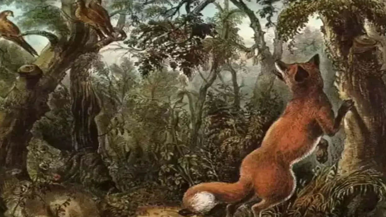 optical illusion 16 hidden animal in one photo but maximum people only able to see fox