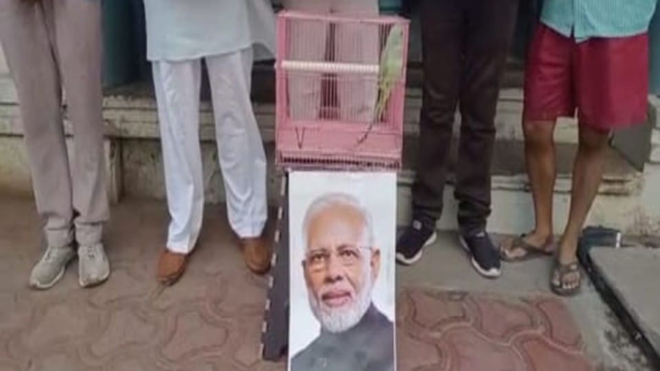 Indore News: Congress placed a parrot over the PM's photo and expressed its opposition, saying - ED and CBI work at the behest of BJP