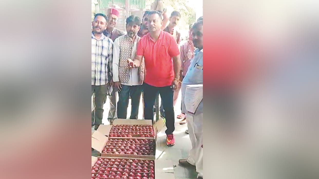 shimla news: tideman apple 24 kg box sold at price of 1800 rupees