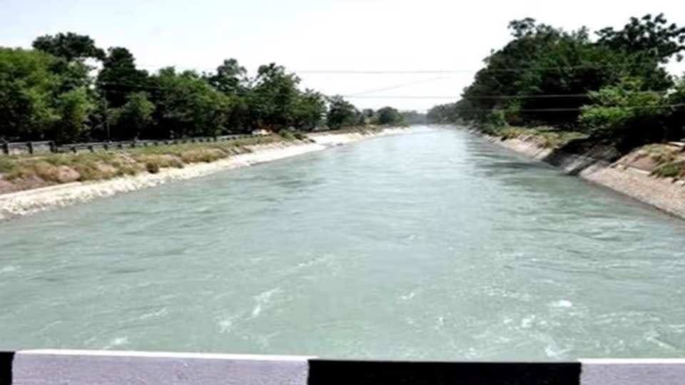 Husband accused of killing wife in Patiala of Punjab
