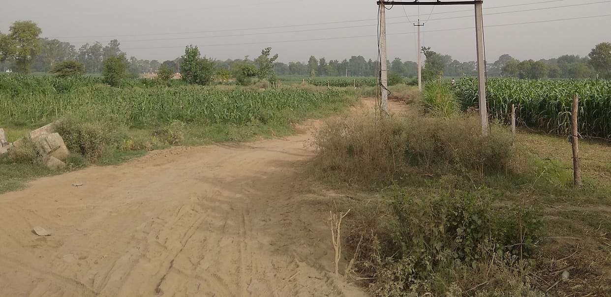 Meerut-Karnal Highway: Pillars and trees became obstacles in bypass construction