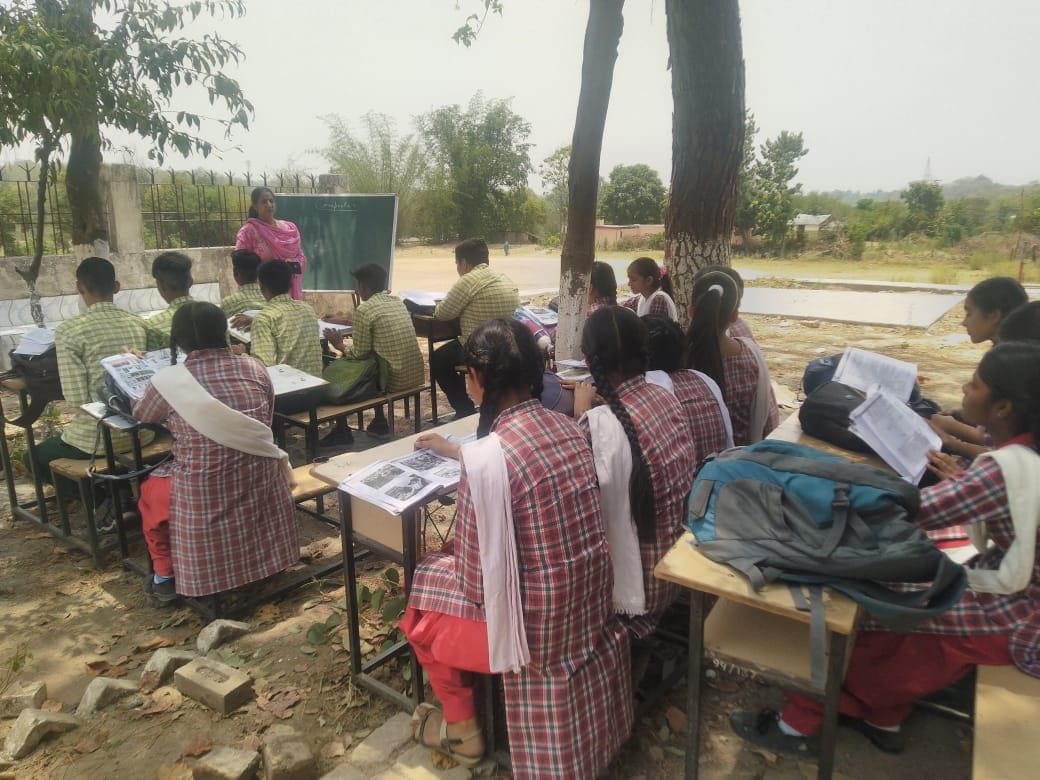 students studying below trees in the midst of scorching heat