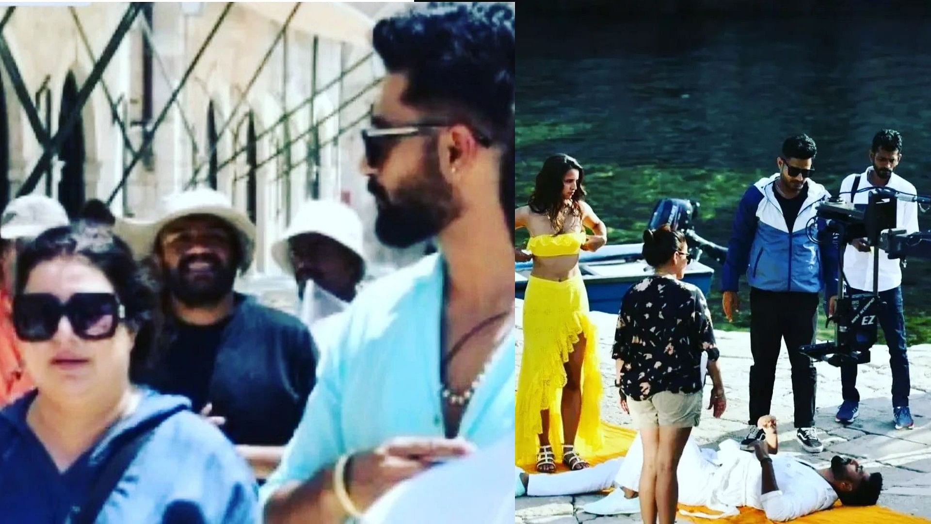 Vicky Kaushal And Tripti Dimri Romantic Song Shoot In Croatia Leaked ...