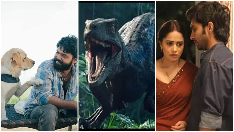 Monday Box Office Report 777 charlie jurassic world dominion janhit mein jaari bhool bhulaiyaa 2 vikram major Collection day 4