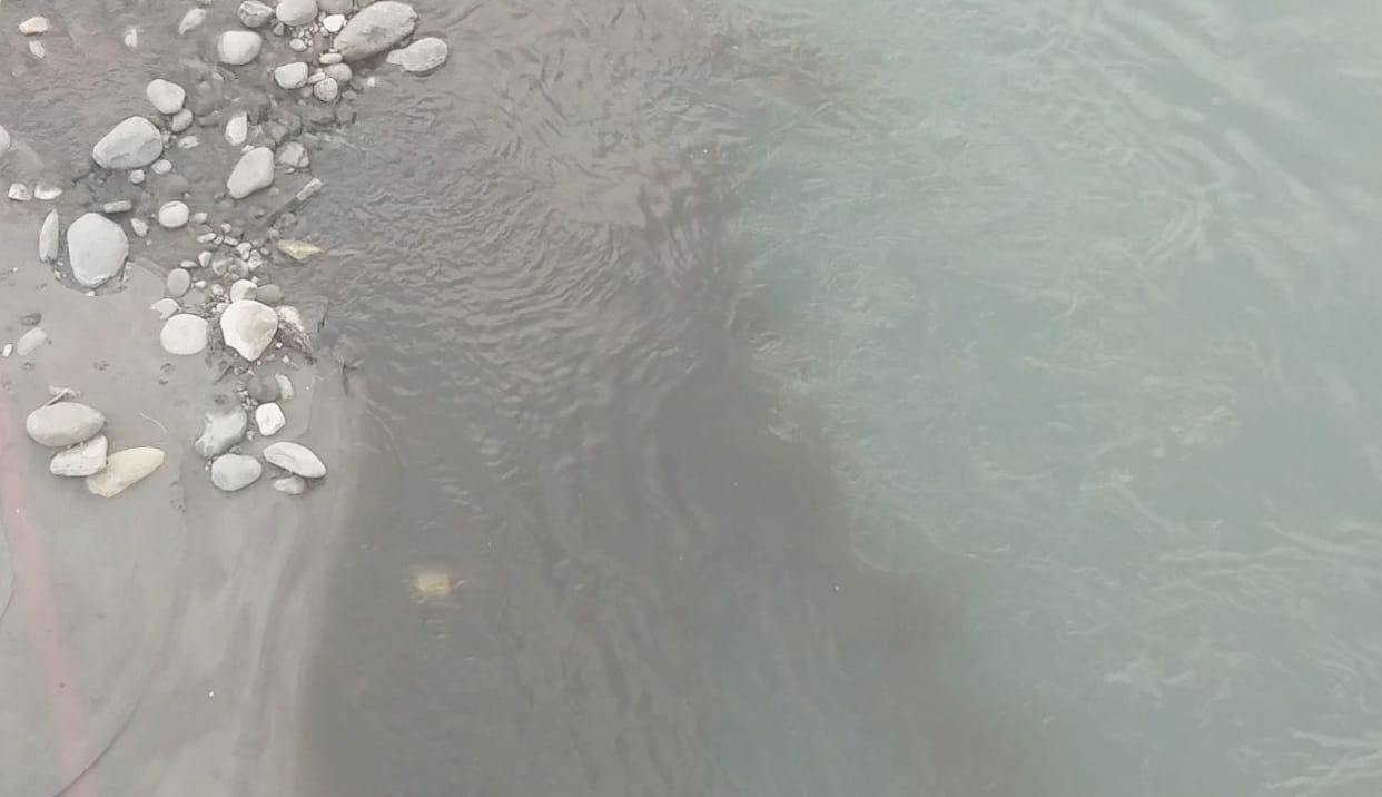 Sewerage treatment plant water being shed in Beas
