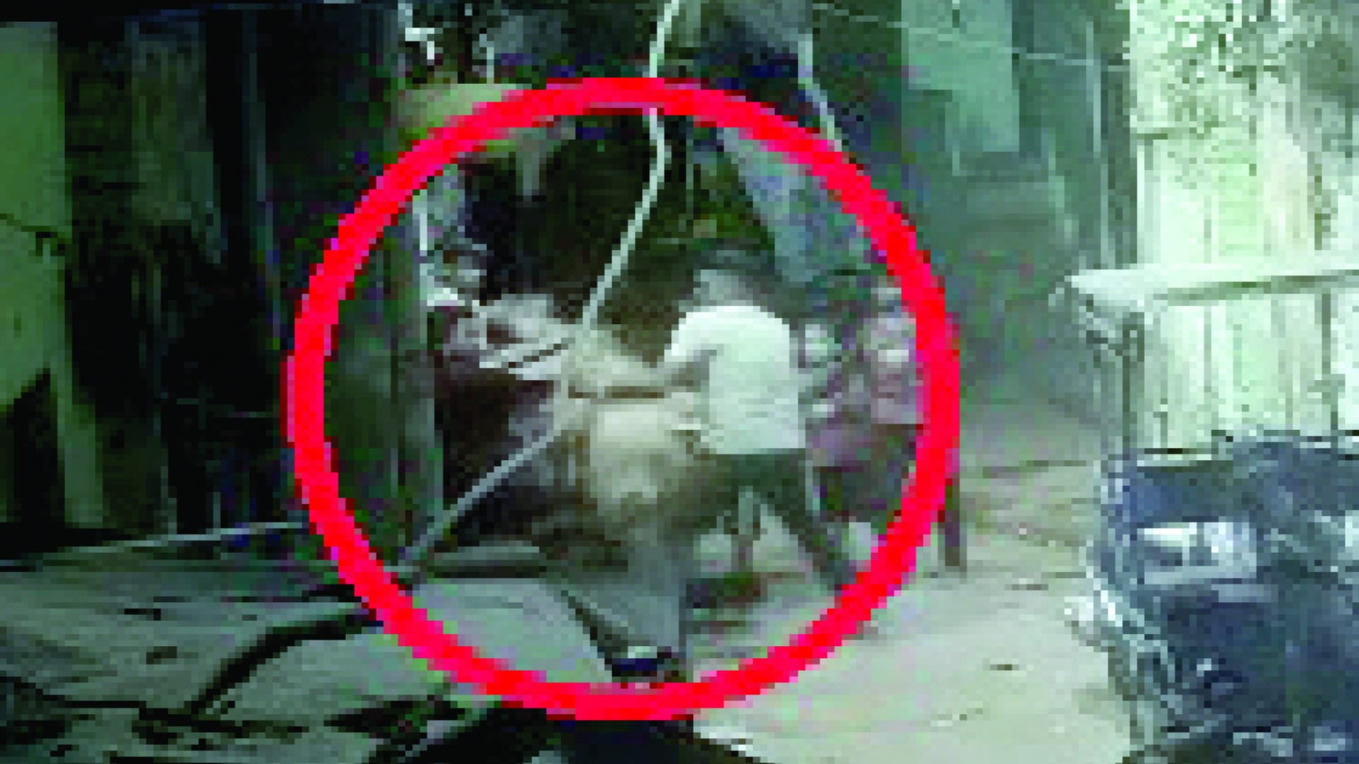 delhi murder case Brother-In-Law stabbed to death after a minor altercation on Minto Road in delhi cctv footage see photos