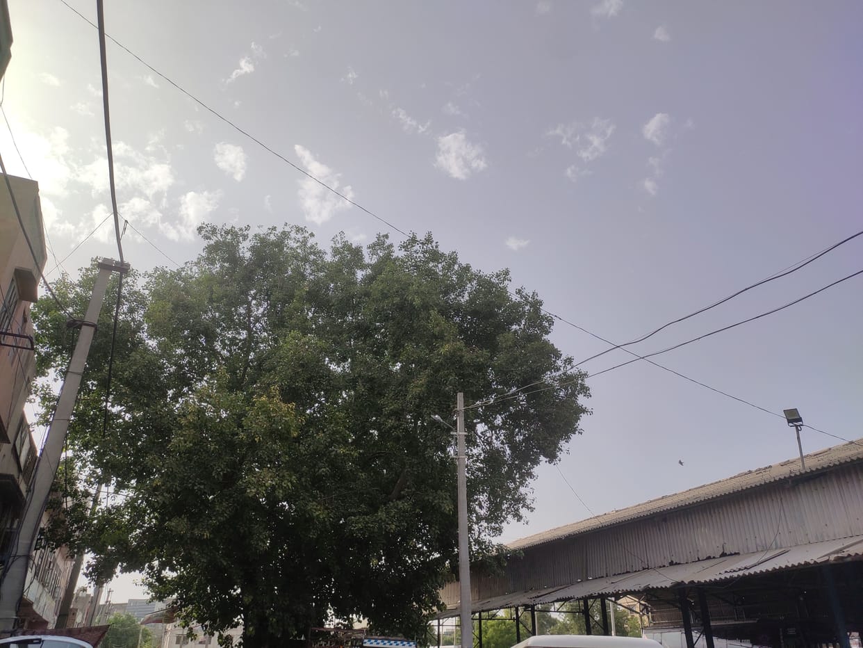 People were upset due to dust storm, the temperature did not decrease