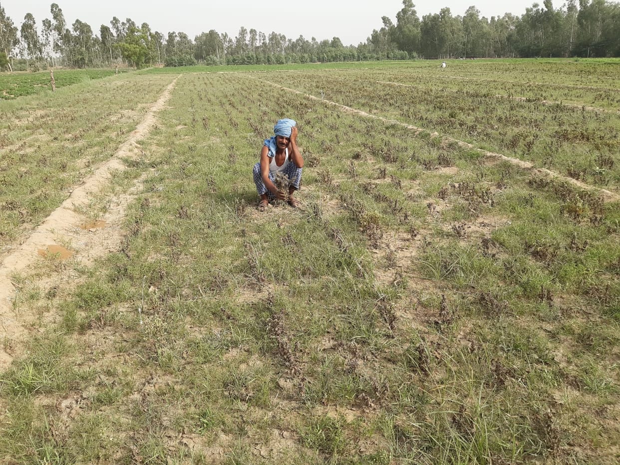Tubewell stalled due to low voltage, 3000 bighas of 600 farmers on the verge of drying up