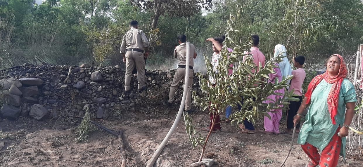 eight crore rupees properity destroyed  in jungles of sirmaur district with in 14 days