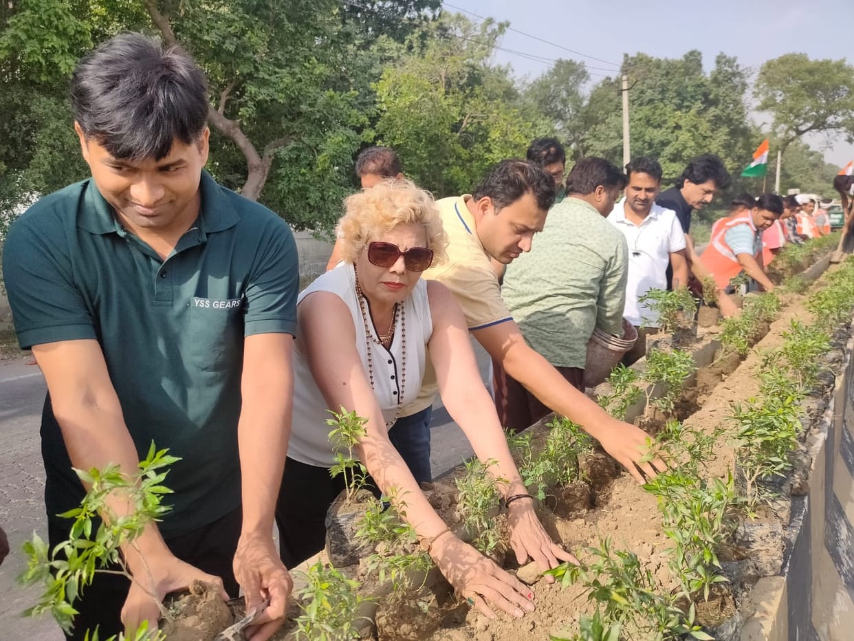 Planted ten thousand saplings on the divider of Dehradun road