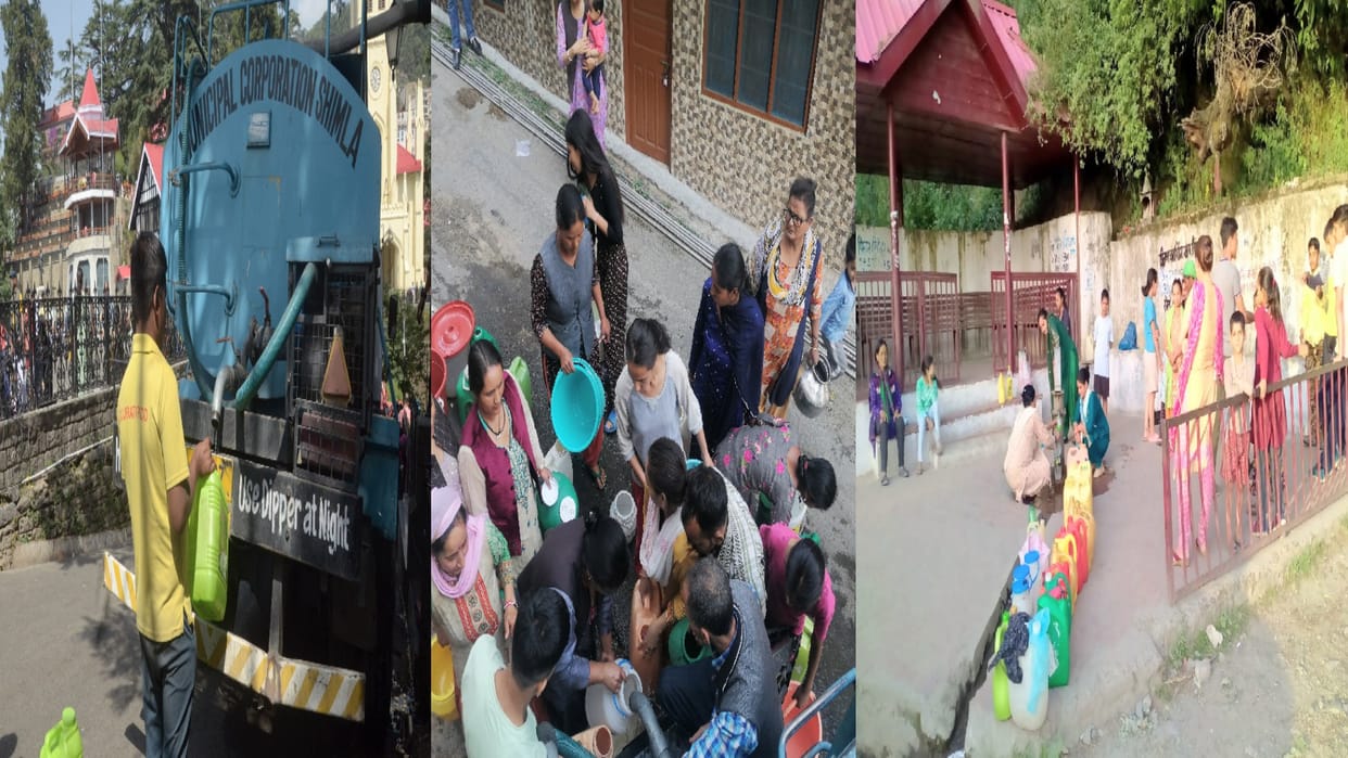 Water Crisis Shimla: Supply stalled, city dwellers forced to push day and night to get water from tankers