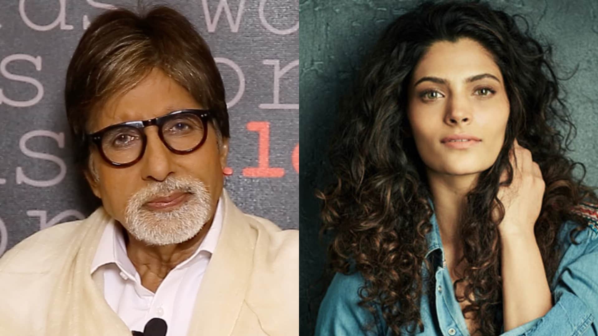 Abhishek Bachchan Film Ghoomar First Look out, Actor to play cricket coach of Saiyami Kher