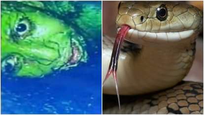 Photos of Chhattisgarh News Janjgir Champa Borewell Rahul Sahu Rescue Operation More Than 90 Hours