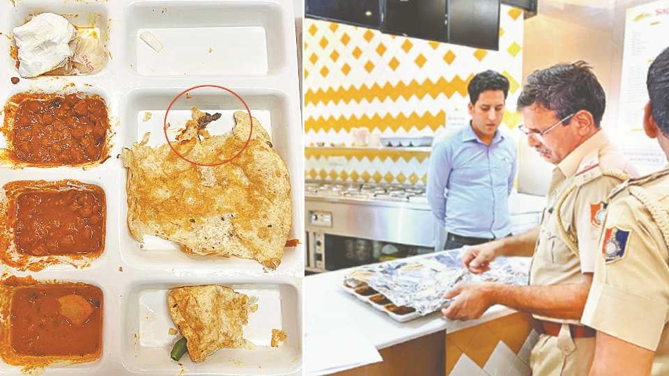 Lizard found in Chana Bhatura in Chandigarh