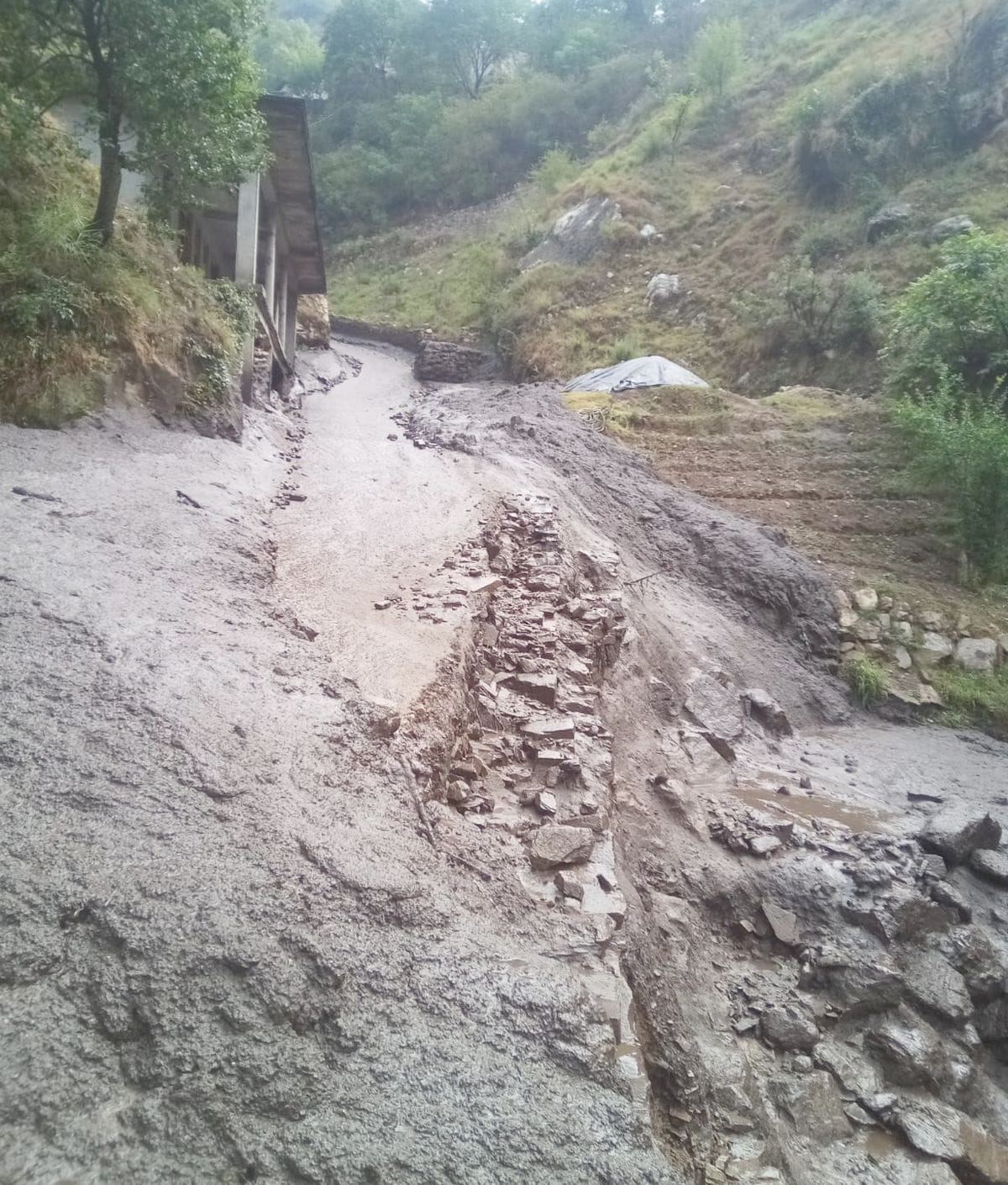 Flood in the drain due to cloudburst, debris entered the houses, cow shed