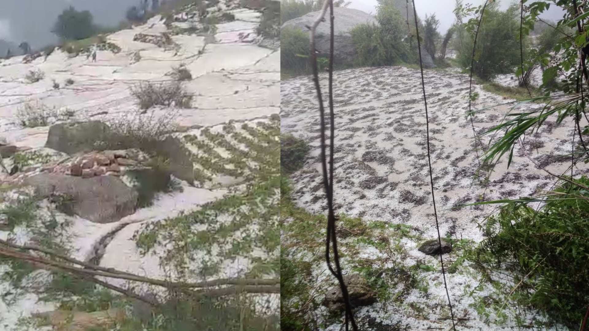 Himachal Weather Update: pre monsoon rainfall recorded in state, Cloudburst in Kullu, damage to crops due to hail