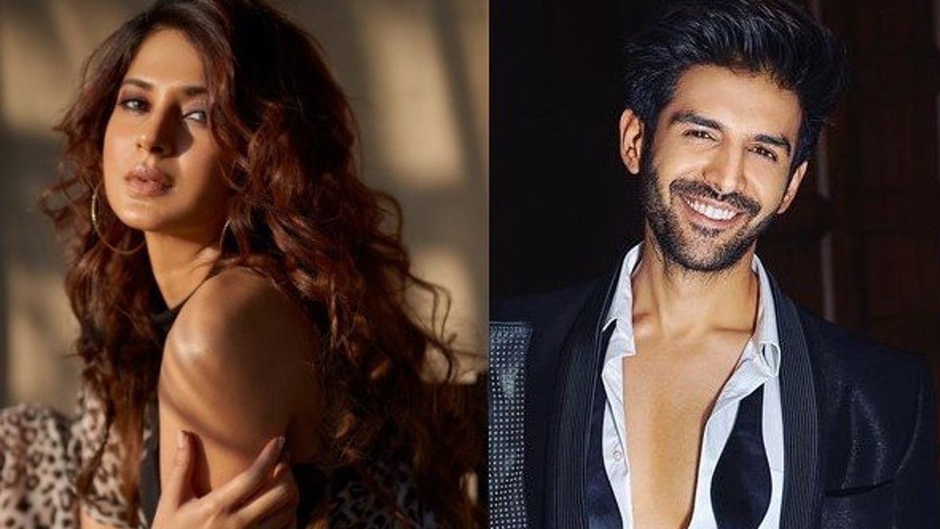 Tv Actress Jennifer Winget may be seen in a Bollywood film with Kartik Aaryan