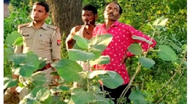 Farmer hanged in Kannauj, dead body found in forest, police engaged in investigation